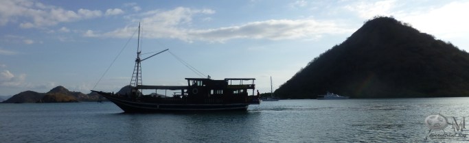 Die Bajo Dive I - Tauchschiff des Bajo Dive Club