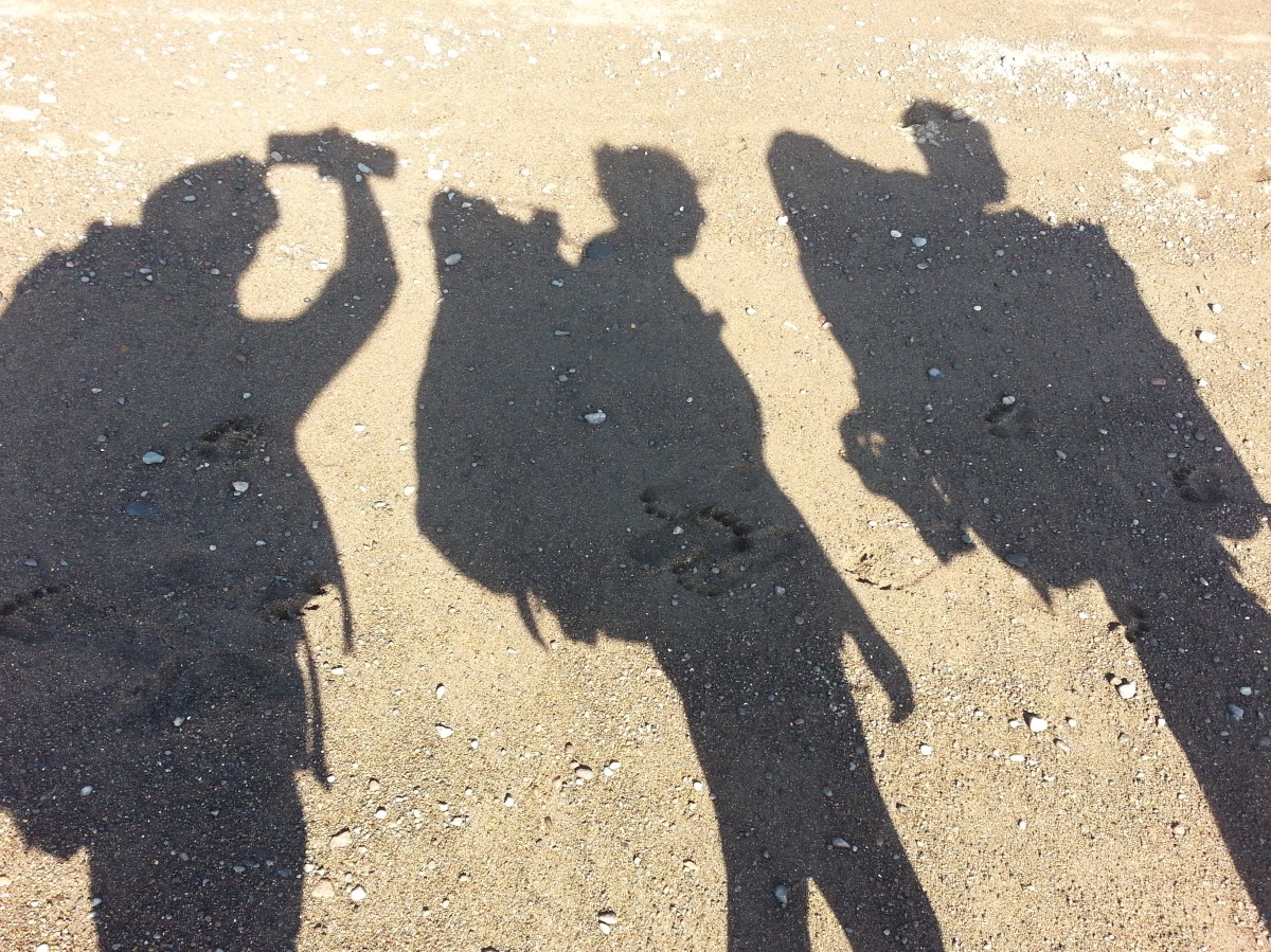 Sabbatjahr – Vorbereitungen