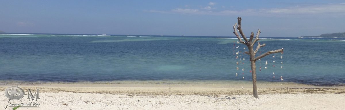 Dive & Travel – M & M's Reiseblog